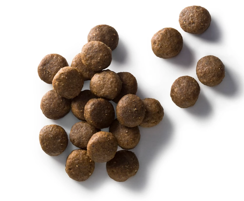 Faunakram Maitenance Adult All Breed 12 Kg 4 Faunakram Maitenance Adult All Breed 12 Kg - immagine 2