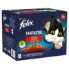 Felix Fantastic Country Flavours In Jelly 24x85g -BRIT in Italia ita pl Felix Fantastic Country Flavours in Jelly 24x85g 12693 1
