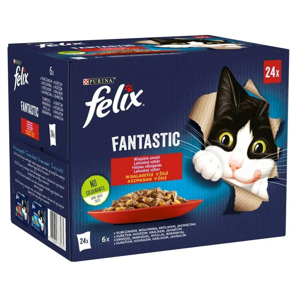 Felix Fantastic Country Flavours In Jelly 24x85g 3 Felix Fantastic Country Flavours In Jelly 24x85g