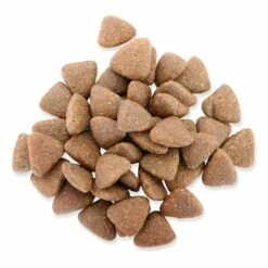 Fitmin Pollo Di Medie Prestazioni 15kg + Sorpresa Per Il Cane GRATIS 10 Fitmin Pollo Di Medie Prestazioni 15kg + Sorpresa Per Il Cane GRATIS -BRIT in Italia ita pl Fitmin Pollo di medie prestazioni 15kg sorpresa per il cane GRATIS 24000 3