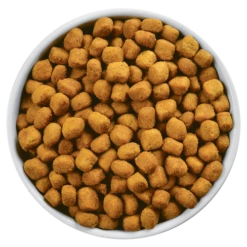 Hills HILL'S PD Prescription Diet Feline T/d 1,5 Kg -BRIT in Italia ita pl HILLS PD Prescription Diet Feline t d 1 5 kg 21049 4