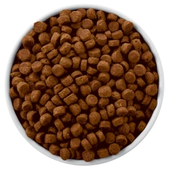 Hills Hill's Prescrizione Dieta Derm Defense Canine Pollo 12kg X2 -BRIT in Italia ita pl Hills Prescrizione Dieta Derm Defense Canine Pollo 12kg x2 20732 3