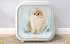 Homerunpet PD50, L'asciugatore Intelligente Per Animali Domestici 15 Homerunpet PD50, L'asciugatore Intelligente Per Animali Domestici -BRIT in Italia ita pl Homerunpet PD50 lasciugatore intelligente per animali domestici 24836 5