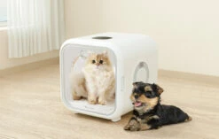 Homerunpet PD50, L'asciugatore Intelligente Per Animali Domestici 18 Homerunpet PD50, L'asciugatore Intelligente Per Animali Domestici -BRIT in Italia ita pl Homerunpet PD50 lasciugatore intelligente per animali domestici 24836 8