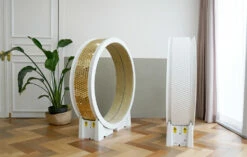 Il Tapis Roulant Per Gatti Little Cat Planet V1 14 Il Tapis Roulant Per Gatti Little Cat Planet V1 -BRIT in Italia ita pl Il tapis roulant per gatti Little Cat Planet V1 24469 6