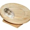 KERBL Eco Ruota Per Criceti 30 Cm -BRIT in Italia ita pl KERBL Eco ruota per criceti 30 cm 22440 1