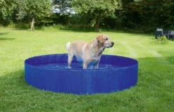 Kerbl- Piscina Per Cani, 75l, 80 Cm X 20 Cm 10 Kerbl- Piscina Per Cani, 75l, 80 Cm X 20 Cm -BRIT in Italia ita pl Kerbl Piscina per cani 75l 80 cm x 20 cm 24615 4