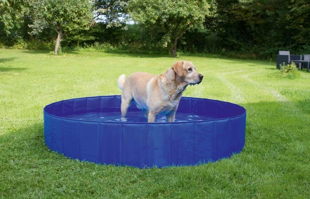 Kerbl- Piscina Per Cani, 75l, 80 Cm X 20 Cm 6 Kerbl- Piscina Per Cani, 75l, 80 Cm X 20 Cm - immagine 4