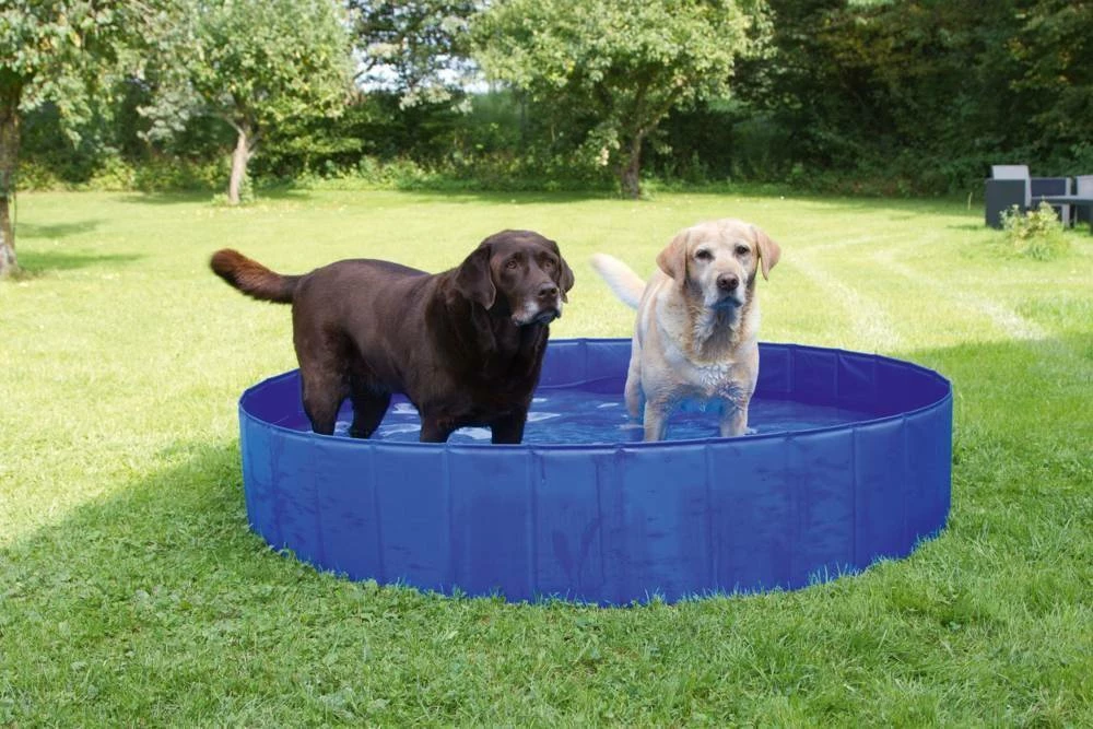 Kerbl- Piscina Per Cani, 75l, 80 Cm X 20 Cm 7 Kerbl- Piscina Per Cani, 75l, 80 Cm X 20 Cm - immagine 5