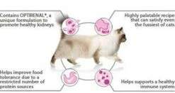 PURINA PRO PLAN PRO PLAN Delicate Digestion Cibo Per Gatti Ricco Di Tacchino 1,5 Kg -BRIT in Italia ita pl PRO PLAN Delicate Digestion cibo per gatti ricco di tacchino 1 5 kg 9827 4