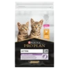PURINA PRO PLAN PRO PLAN Kitten Healthy Start Cibo Per Gattini Ricco Di Pollo 10 Kg 2 PURINA PRO PLAN PRO PLAN Kitten Healthy Start Cibo Per Gattini Ricco Di Pollo 10 Kg -BRIT in Italia ita pl PRO PLAN Kitten Healthy Start Cibo per gattini ricco di pollo 10 kg 8952 3