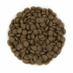 PURE Oceanic Adult Salmone 12 Kg -BRIT in Italia ita pl PURE Oceanic Adult Salmone 12 kg 23787 2