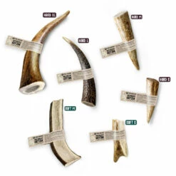 Paka Zwierzaka Massaggiagengive Naturale, Corna Di Cervo HARD XL- 18 Cm -BRIT in Italia ita pl Paka Zwierzaka Massaggiagengive naturale corna di cervo HARD XL 18 cm 19557 2