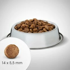 Perfect Fit™ - Alimento Completo Secco Per Cani Adulti Di Taglia Media E Grande, Ricco Di Pollo 6 Kg 10 Perfect Fit™ - Alimento Completo Secco Per Cani Adulti Di Taglia Media E Grande, Ricco Di Pollo 6 Kg -BRIT in Italia ita pl Perfect Fit TM alimento completo secco per cani adulti di taglia media e grande ricco di pollo 6 kg 21105 4