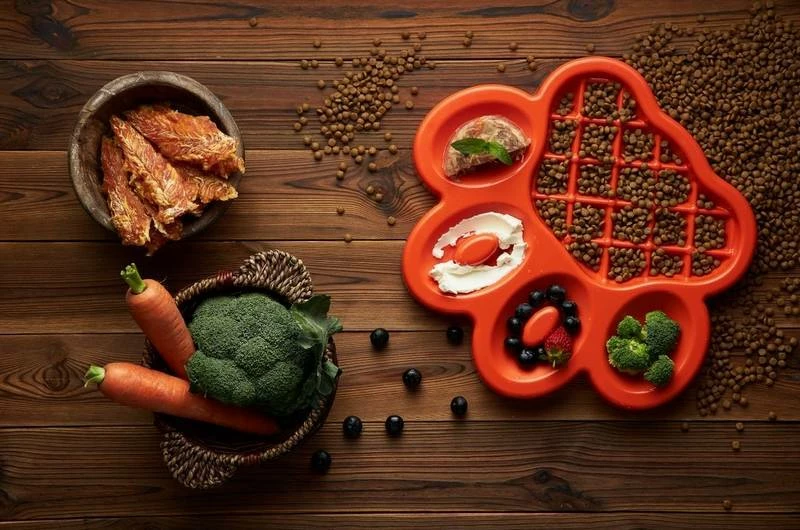 Pet Dream House Ciotola Per Alimentazione Lenta Orange Easy 4 Pet Dream House Ciotola Per Alimentazione Lenta Orange Easy - immagine 2