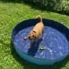 Piscina Be Cold Dog, 160 X 30 Cm -BRIT in Italia ita pl Piscina Be Cold Dog 160 x 30 cm 21053 1