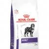 ROYAL CANIN Adult Large Dog 13kg+Sorpresa Per Il Tuo Cane -BRIT in Italia ita pl ROYAL CANIN Adult Large Dog 13kg Sorpresa per il tuo cane 19797 1