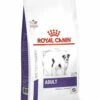 ROYAL CANIN Adult Small Dog 8kg X2 2 ROYAL CANIN Adult Small Dog 8kg X2 -BRIT in Italia ita pl ROYAL CANIN Adult Small Dog 8kg x2 19845 1