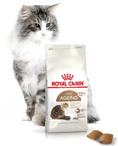 ROYAL CANIN Ageing +12 4kg 6 ROYAL CANIN Ageing +12 4kg - immagine 4