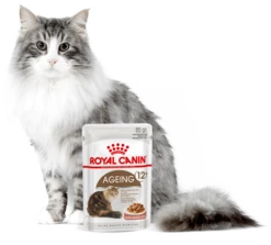 ROYAL CANIN Ageing +12 Sauce 12x85g -BRIT in Italia ita pl ROYAL CANIN Ageing 12 Sauce 12x85g 8133 4