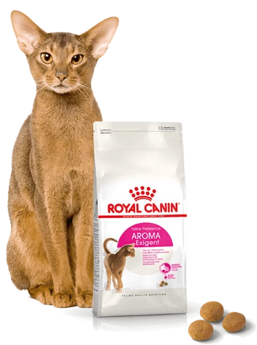 ROYAL CANIN Aroma Exigent 2kg 6 ROYAL CANIN Aroma Exigent 2kg - immagine 4