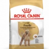 ROYAL CANIN Barboncino Adulto 1,5kg