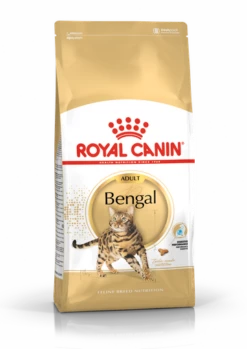 ROYAL CANIN Bengala Adulto 10kg X2 9 ROYAL CANIN Bengala Adulto 10kg X2 -BRIT in Italia ita pl ROYAL CANIN Bengala Adulto 10kg 14994 1 1