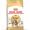ROYAL CANIN Bengala Adulto 2kg 1 ROYAL CANIN Bengala Adulto 2kg -BRIT in Italia ita pl ROYAL CANIN Bengala Adulto 2kg 14989 1