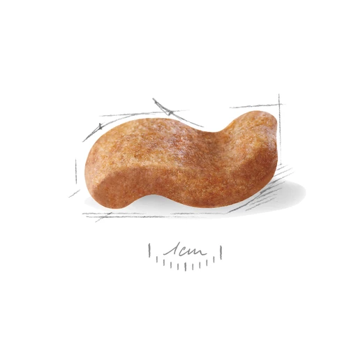 ROYAL CANIN Boxer Adult 12kg 4 ROYAL CANIN Boxer Adult 12kg - immagine 2