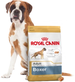 ROYAL CANIN Boxer Adult 12kg + OVER ZOO Delicatezza 100g GRATIS! 16 ROYAL CANIN Boxer Adult 12kg + OVER ZOO Delicatezza 100g GRATIS! -BRIT in Italia ita pl ROYAL CANIN Boxer Adult 12kg OVER ZOO Delicatezza 100g GRATIS 24843 4