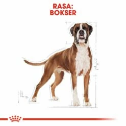 ROYAL CANIN Boxer Adult 12kg + OVER ZOO Delicatezza 100g GRATIS! 21 ROYAL CANIN Boxer Adult 12kg + OVER ZOO Delicatezza 100g GRATIS! -BRIT in Italia ita pl ROYAL CANIN Boxer Adult 12kg OVER ZOO Delicatezza 100g GRATIS 24843 9