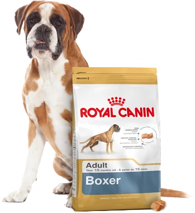 ROYAL CANIN Boxer Adult 12kg X2 7 ROYAL CANIN Boxer Adult 12kg X2 - immagine 5