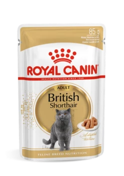 ROYAL CANIN British Shorthair Adult 12x85g