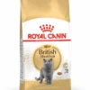 ROYAL CANIN British Shorthair Adulto 2kg