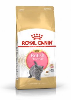 ROYAL CANIN British Shorthair Kitten 10kg + Sorpresa Per Il Gatto GRATIS -BRIT in Italia ita pl ROYAL CANIN British Shorthair Kitten 10kg 15990 1
