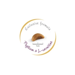 ROYAL CANIN British Shorthair Kitten 10kg + Sorpresa Per Il Gatto GRATIS -BRIT in Italia ita pl ROYAL CANIN British Shorthair Kitten 10kg sorpresa per il gatto GRATIS 24129 3