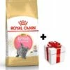 ROYAL CANIN British Shorthair Kitten 10kg + Sorpresa Per Il Gatto GRATIS 2 ROYAL CANIN British Shorthair Kitten 10kg + Sorpresa Per Il Gatto GRATIS -BRIT in Italia ita pl ROYAL CANIN British Shorthair Kitten 10kg sorpresa per il gatto GRATIS 24129 4