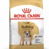 ROYAL CANIN Bulldog Adult 12kg -BRIT in Italia ita pl ROYAL CANIN Bulldog Adult 12kg 8160 1