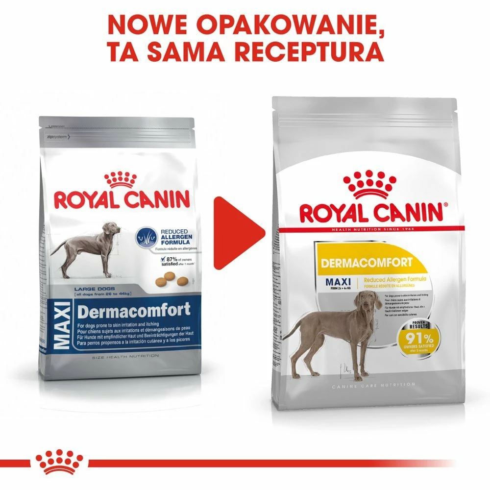 ROYAL CANIN CCN Maxi Dermacomfort 12 Kg Alimento Secco Per Cani Adulti, Di Taglia Grande, Con Pelle Sensibile, Soggetta A Irritazioni - immagine 2