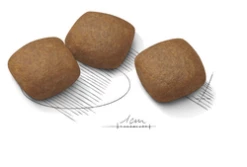 ROYAL CANIN CCN Maxi Joint Care 3kg -BRIT in Italia ita pl ROYAL CANIN CCN Maxi Joint Care 3kg 15373 3