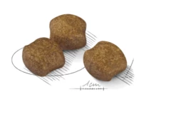 ROYAL CANIN CCN Medium Dental Care 10kg X2 8 ROYAL CANIN CCN Medium Dental Care 10kg X2 -BRIT in Italia ita pl ROYAL CANIN CCN Medium Dental Care 10kg x2 19929 3