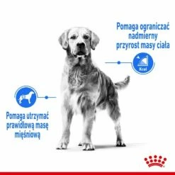 ROYAL CANIN CCN Medium Light Weight Care 12kg Alimento Secco Per Cani Adulti, Razze Medie Con Tendenza Al Sovrappeso + Sorpresa Per Il Cane GRATIS -BRIT in Italia ita pl ROYAL CANIN CCN Medium Light Weight Care 12kg alimento secco per cani adulti razze medie con tendenza al sovrappeso sorpresa per il cane GRATIS 24111 4