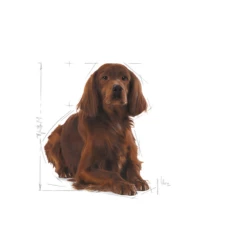 ROYAL CANIN CCN Medium Relax Care 3kg 8 ROYAL CANIN CCN Medium Relax Care 3kg -BRIT in Italia ita pl ROYAL CANIN CCN Medium Relax Care 3kg 15385 2