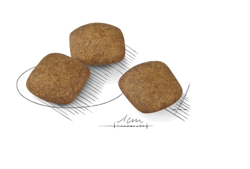 ROYAL CANIN CCN Medium Relax Care 3kg 5 ROYAL CANIN CCN Medium Relax Care 3kg - immagine 3