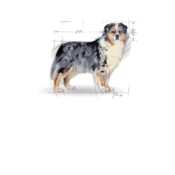 ROYAL CANIN CCN Medium Sterilizzato 3kg -BRIT in Italia ita pl ROYAL CANIN CCN Medium sterilizzato 3kg 9097 2