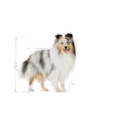 ROYAL CANIN CCN Mini Coat Care 3kg -BRIT in Italia ita pl ROYAL CANIN CCN Mini Coat Care 3kg 15388 3