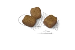 Nuovi Prodotti -BRIT in Italia ita pl ROYAL CANIN CCN Mini Dental Care 8kg x2 19893 2