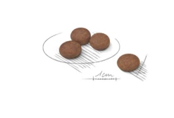 ROYAL CANIN CCN Mini Digestive Care 8kg X2 -BRIT in Italia ita pl ROYAL CANIN CCN Mini Digestive Care 8kg x2 19892 2