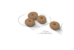 ROYAL CANIN CCN Mini Light Weight Care 8kg X2 -BRIT in Italia ita pl ROYAL CANIN CCN Mini Light Weight Care 8kg x2 19932 2