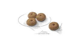 ROYAL CANIN CCN Mini Sterilizzato 8kg -BRIT in Italia ita pl ROYAL CANIN CCN Mini sterilizzato 8kg 15398 2